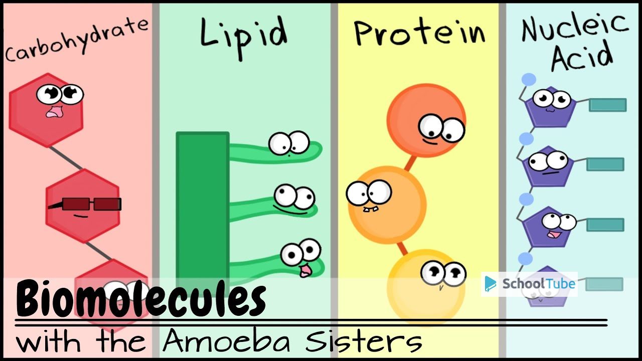 Biomolecules