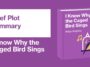 I Know Why the Caged Bird Sings Video Study Guide
