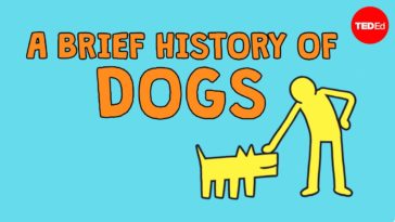 A Brief History of Dogs