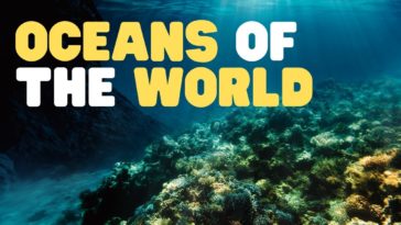 Oceans of the World for Kids