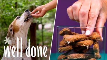 3 Homemade Dog Treats for Your Furry Friend