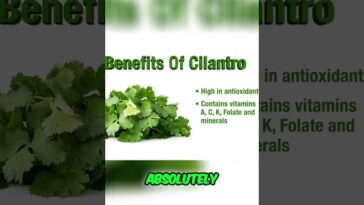 Cilantro: A Nutritional Powerhouse and Culinary Delight