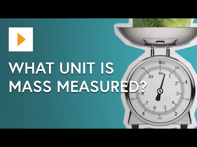 Exploring Mass: Understanding the Metric System of Measurement | SchoolTube