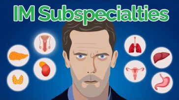 Internal Medicine Subspecialties: A Comprehensive Guide for Pre-Med Students