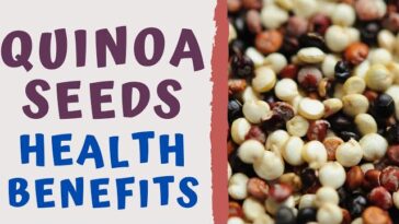 Quinoa: The Ancient Grain with Modern Health Benefits