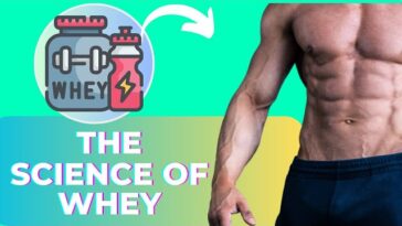 The Science Behind Whey Protein and Muscle Gain