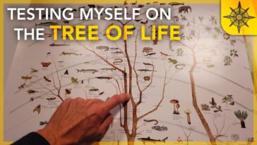 The Tree of Life: Symbolism and Significance