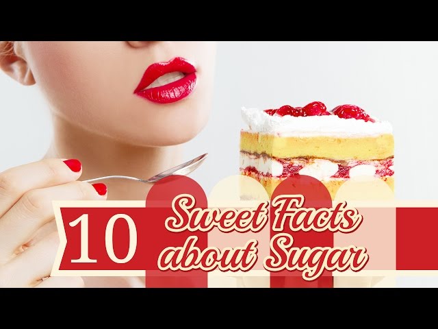 10 Interesting Facts About Sugar | SchoolTube