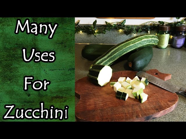 Zucchini Recipes: Creative Ways to Use Zucchini | SchoolTube