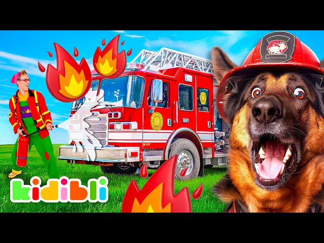 The Amazing World of Firefighting Dogs | SchoolTube